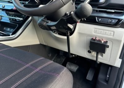 Fadiel Hand Control With Indicators Min