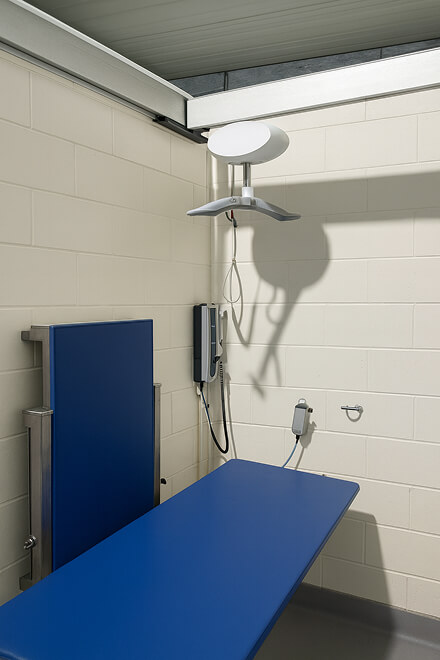 4157a4ba 7144 47b0 8cbd Adda3faa62c9 1 (1)